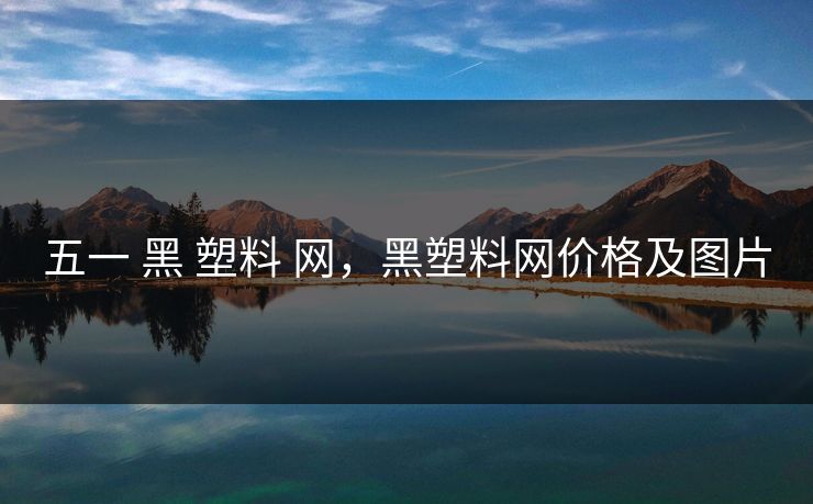 五一 黑 塑料 网，黑塑料网价格及图片
