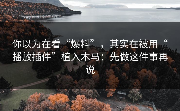 你以为在看“爆料”，其实在被用“播放插件”植入木马：先做这件事再说
